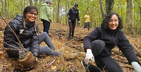 How NYC Parks Fights Climate Change: Restoring And Protecting Our ...