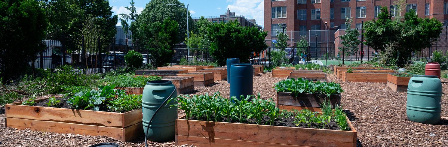 GreenThumb Resource Guide: Growing Food : NYC Parks