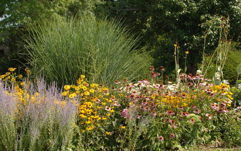 Spring Blooms at NYC Parks : NYC Parks