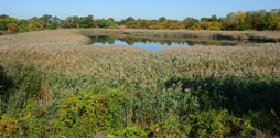 Places to Run : NYC Parks