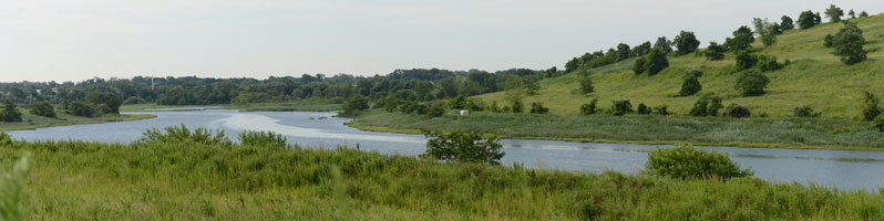 Photo of Freshkills park