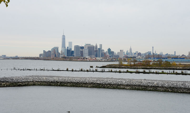 Best Views Of The Manhattan Skyline From A Park Nyc Parks