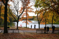 Alley Pond Park : NYC Parks