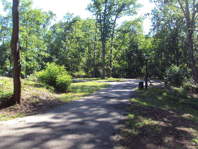 Hackett Park : NYC Parks