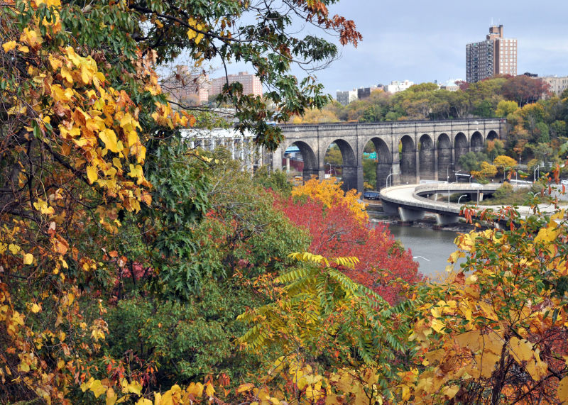 Highbridge Park : NYC Parks