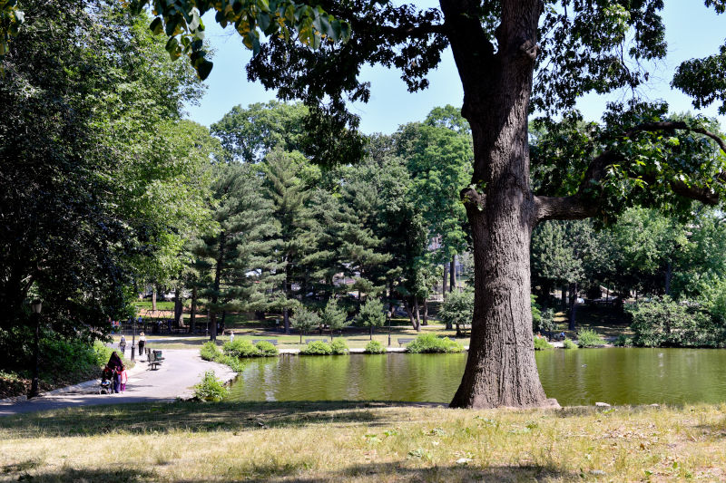 Captain Tilly Park Highlights : NYC Parks