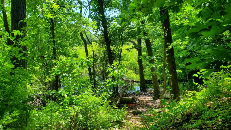 Siedenburg Park : NYC Parks